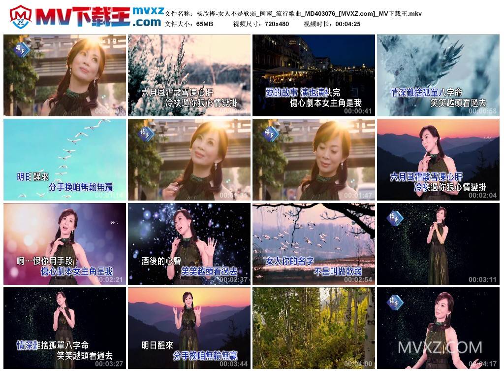 杨欣桦-女人不是软弱_闽南_流行歌曲_MD403076